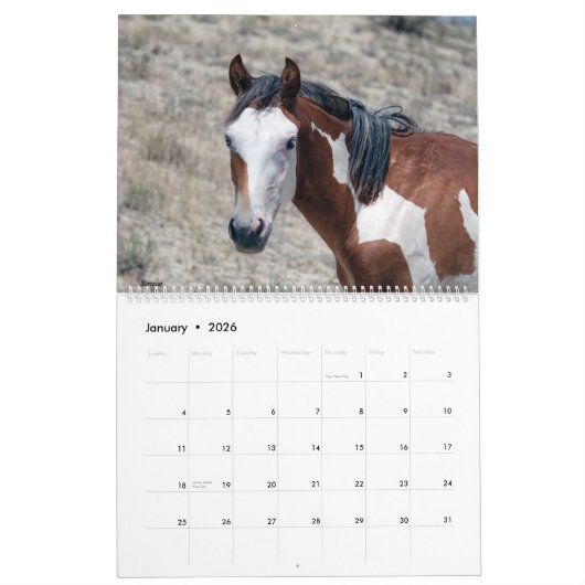 砂洗面2021カレンダー カレンダー (1月 2026)