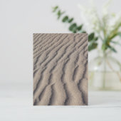 砂浜のさざ ポストカード (スタンド正面)