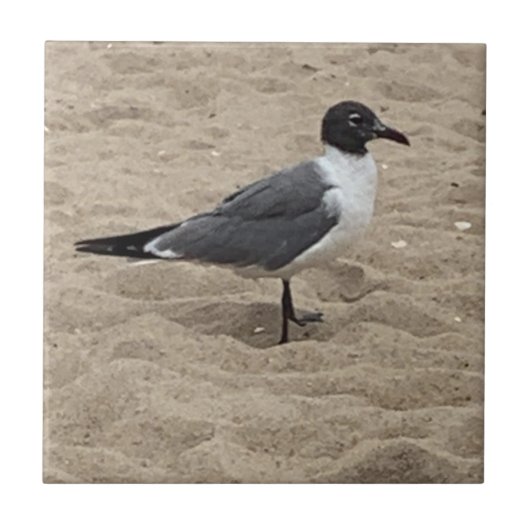 砂浜のカモメ タイル (正面)