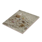 砂浜の貝殻 タイル (側面)