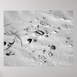 砂浜の黒と白の貝殻 16x20 ポスター