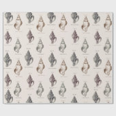 砂浜シェルズヴィンテージ海辺パターンラッピングパップ ラッピングペーパー (フラット)