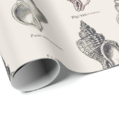 砂浜シェルズヴィンテージ海辺パターンラッピングパップ ラッピングペーパー (ロールコーナー)