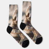 砂浜ショア：ベビースロース建物砂城， ソックス (右)