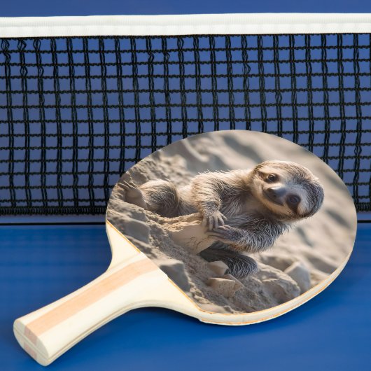 砂浜ショア：ベビースロース建物砂城， 卓球ラケット (インサイチュ)