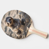 砂浜ショア：ベビースロース建物砂城， 卓球ラケット (横)