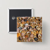 砂浜|アンダルーシア、スペインの貝 缶バッジ (正面&裏面)