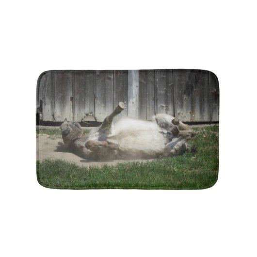 砂浴びロバ バスマット (正面)