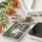 砂浴用ロバ キーホルダー (正面右)