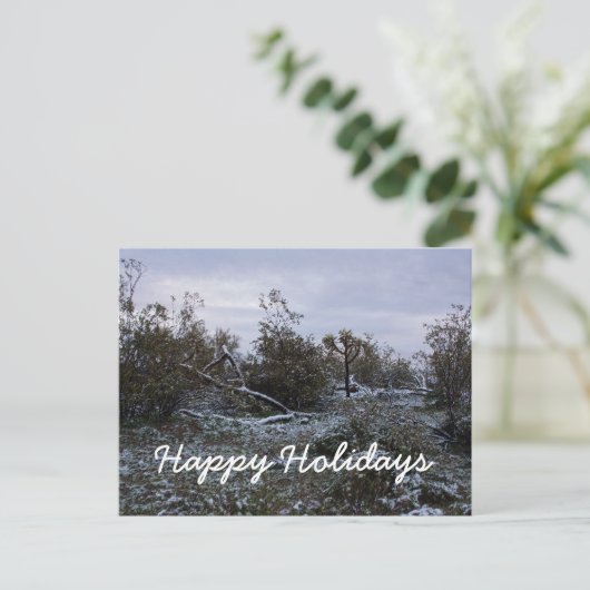 砂漠からのホリデーシーズンのご挨拶 シーズンポストカード (スタンド正面)