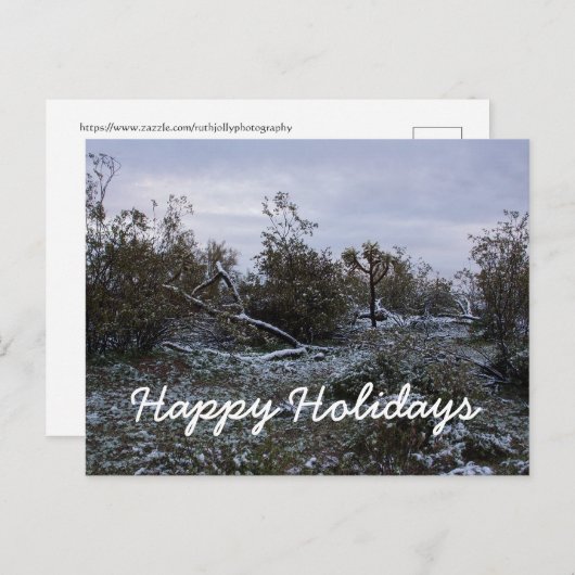 砂漠からのホリデーシーズンのご挨拶 シーズンポストカード (正面/裏面)