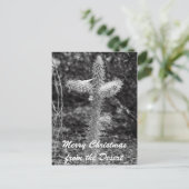 砂漠からのメリークリスマス シーズンポストカード (スタンド正面)