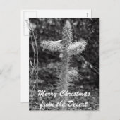 砂漠からのメリークリスマス シーズンポストカード (正面/裏面)