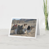 砂漠で休むラクダ カード (正面)