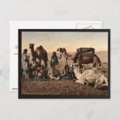 砂漠で休憩するラクダ、聖地のヴィンテージ写真、Holy Land Ph ポストカード (正面/裏面)