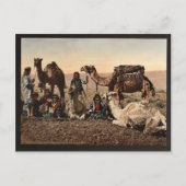砂漠で休憩するラクダ、聖地のヴィンテージ写真、Holy Land Ph ポストカード (正面)
