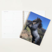 砂漠で育つブルーローアンホース プランナー手帳 (ディスプレー)