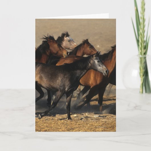 砂漠で走っているアラビア人 カード (正面)