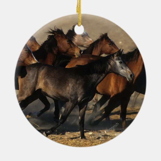 砂漠で走っているアラビア人 セラミックオーナメント (裏面)