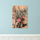 砂漠で雨が降った後、悪魔の爪が花を咲かせる キャンバスプリント (インサイチュ (ウッドフロア))