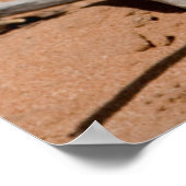 砂漠で雨が降った後、悪魔の爪が花を咲かせる ポスター (角)