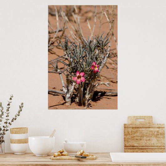 砂漠で雨が降った後、悪魔の爪が花を咲かせる ポスター (キッチン)