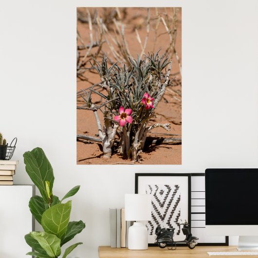 砂漠で雨が降った後、悪魔の爪が花を咲かせる ポスター (ホームオフィス)