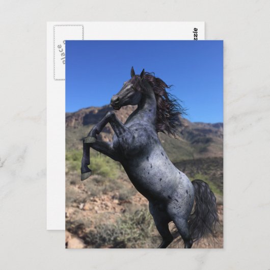 砂漠のはがきにブルーローアン馬を飼育 ポストカード (正面/裏面)