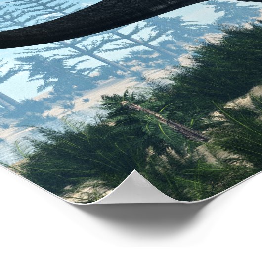 砂漠のアパトサウルス恐竜 – 3D 描写 ポスター (角)