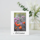 砂漠のアリゾナの色 ポストカード (スタンド正面)