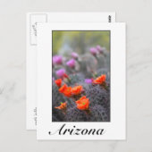 砂漠のアリゾナの色 ポストカード (正面/裏面)