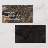 砂漠のウズラの鳥 名刺 (正面/裏面)