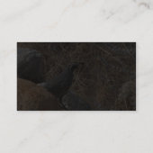 砂漠のウズラの鳥 名刺 (裏面)