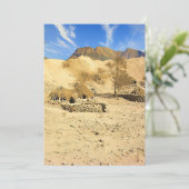 砂漠のオアシス シーズンカード (スタンド正面)