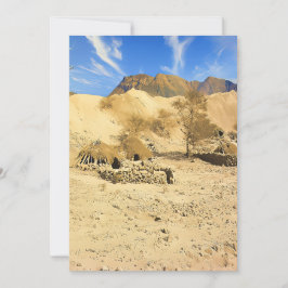 砂漠のオアシス シーズンカード