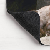 砂漠のオオツノヒツジ(太陽で寝る大人のラム マウスパッド (コーナー)