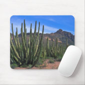 砂漠のオルガン管 マウスパッド (マウス)