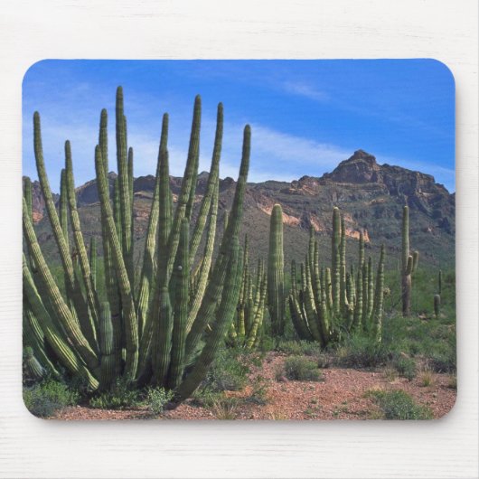 砂漠のオルガン管 マウスパッド (正面)