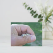 砂漠のゴッペスヘビ ポストカード (スタンド正面)