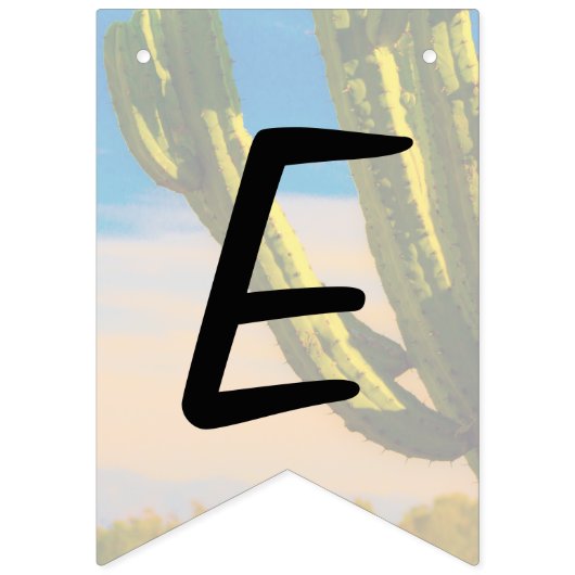 砂漠のサグアーロサボス結婚のリハーサルディナー バンティングフラッグ (第2の旗)