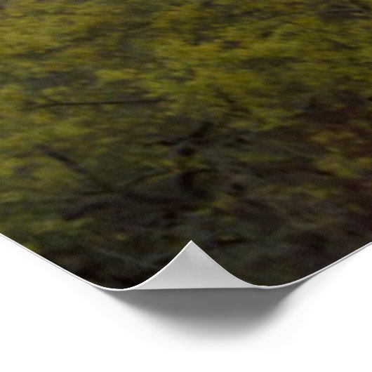 砂漠のサボテンの夕日（アリゾナ） ポスター (角)