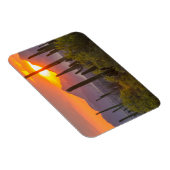 砂漠のサボテンの夕日(アリゾナ) マグネット (右側)