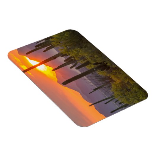 砂漠のサボテンの夕日（アリゾナ） マグネット (右側)