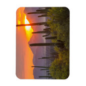 砂漠のサボテンの夕日(アリゾナ) マグネット (縦)