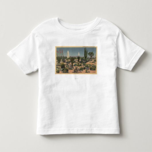 砂漠のサボテンのCaliforniaVarieties トドラーTシャツ (正面)