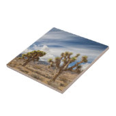 砂漠のジョシュアツリー タイル (側面)