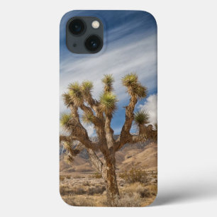 砂漠のジョシュアツリー iPhone 13ケース