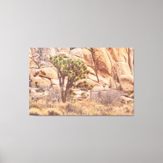 砂漠のジョシュア キャンバスプリント (正面)