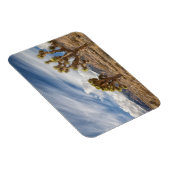 砂漠のジョシュア マグネット (右側)