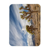 砂漠のジョシュア マグネット (縦)